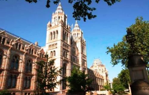 Điểm thu hút học sinh của trường Duff Miller International College